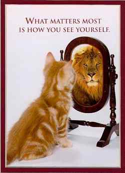 cat is looking in the mirror and sees a lion